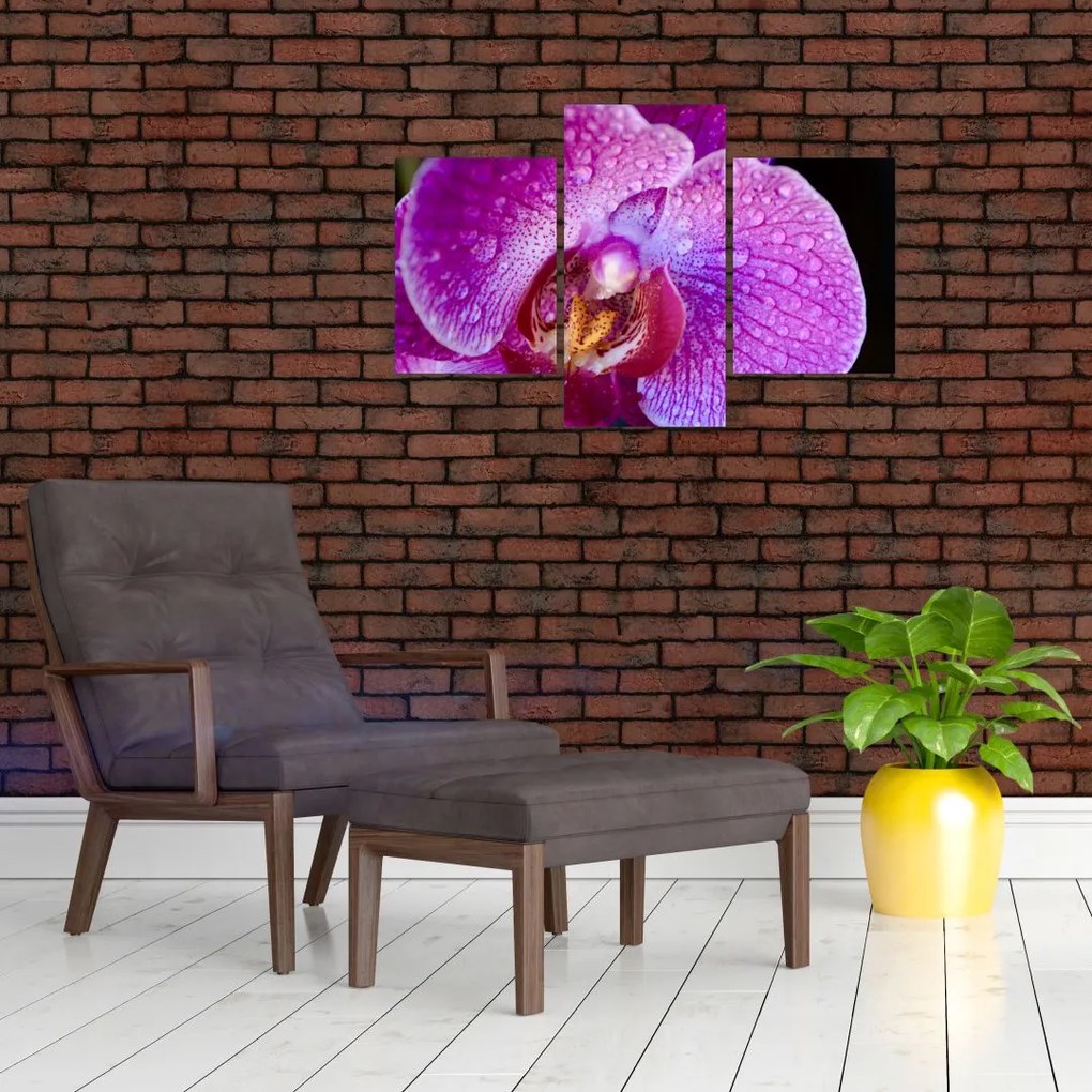 Tablou detailat cu floare de orhidee (90x60 cm)