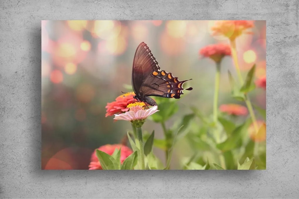 Tapet Premium Canvas - Fluturele pe floarea colorata