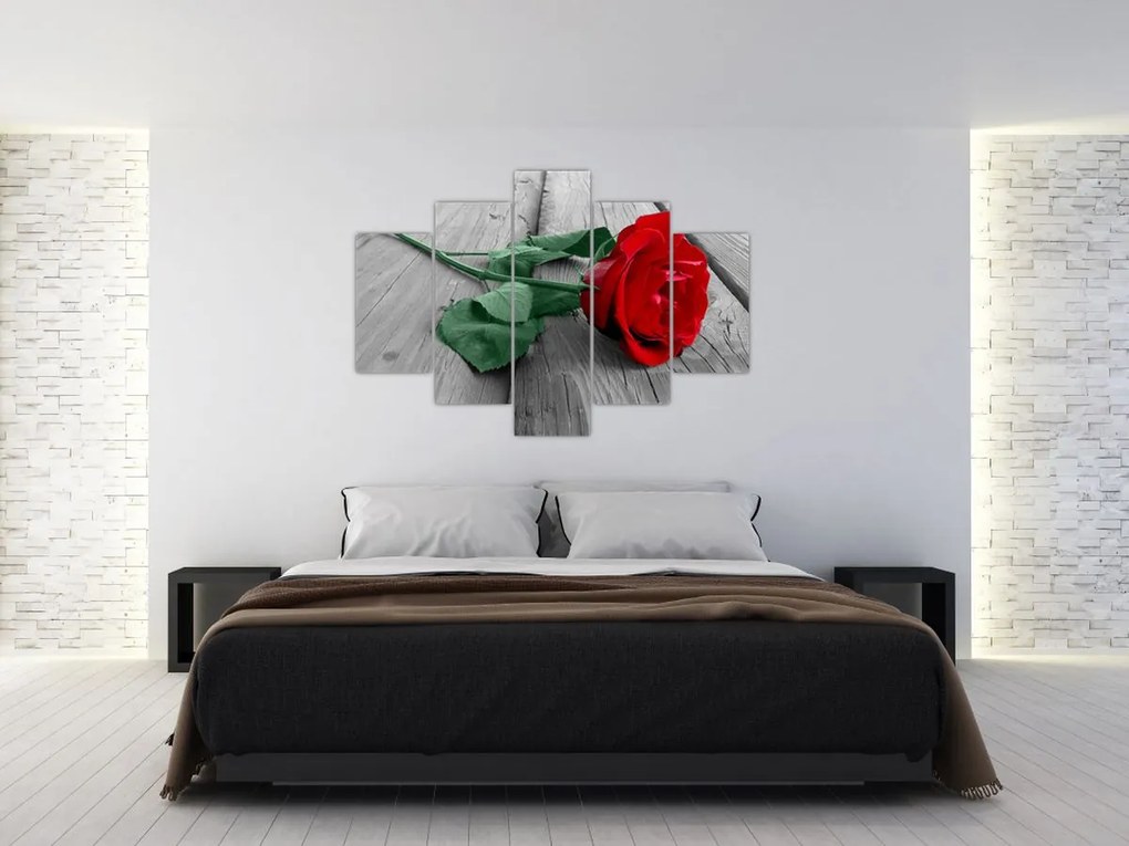 Tablou - Trandafir roșu cu tulpină verde (150x105 cm)