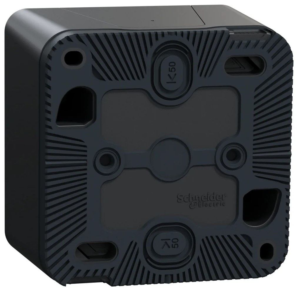 Intrerupator dublu cap scara Schneider Mureva, antracit, 10A, IP55