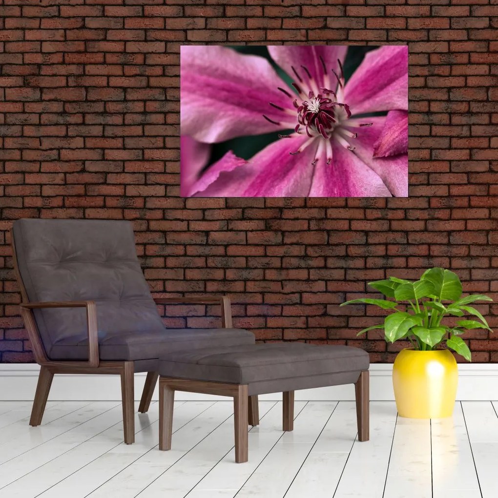Tablou cu floarea roz de clematis (90x60 cm)