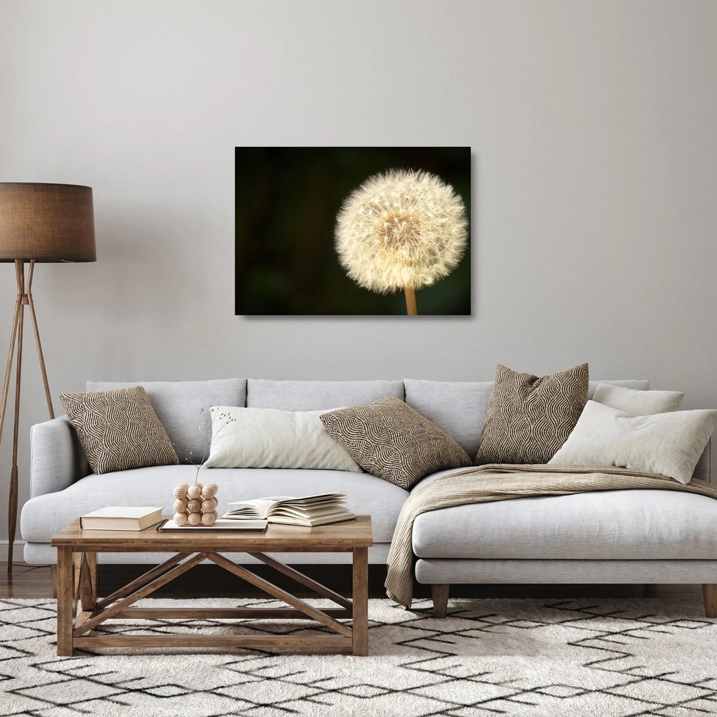 Tablou pe sticlă cu păpădie gri (70x50 cm)