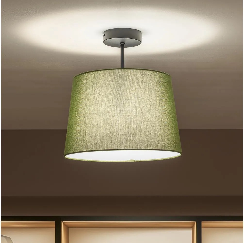 Brilagi - Plafonieră LED aplicată CERIA 1xE27/60W/230V Ø 30 cm negru/verde