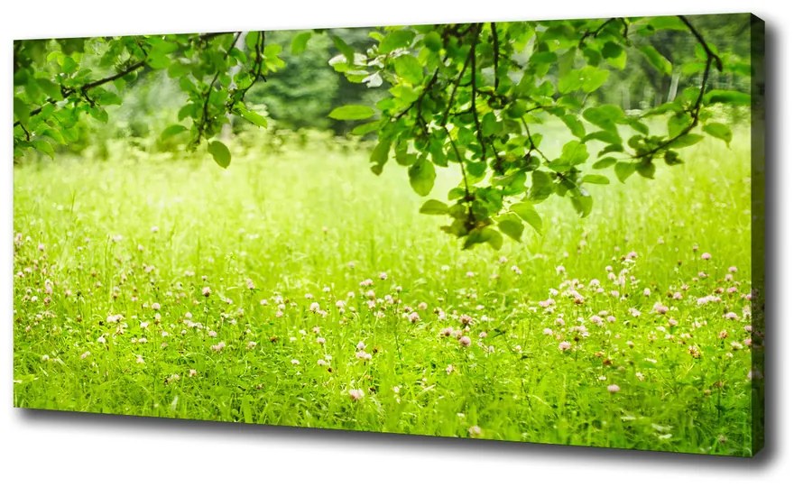 Tablou pe pânză canvas Pajiște verde