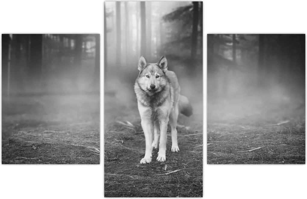 Tablou - Paznicul pădurii (90x60 cm)