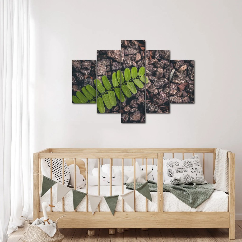 Tablou cu planta verde (150x105 cm)