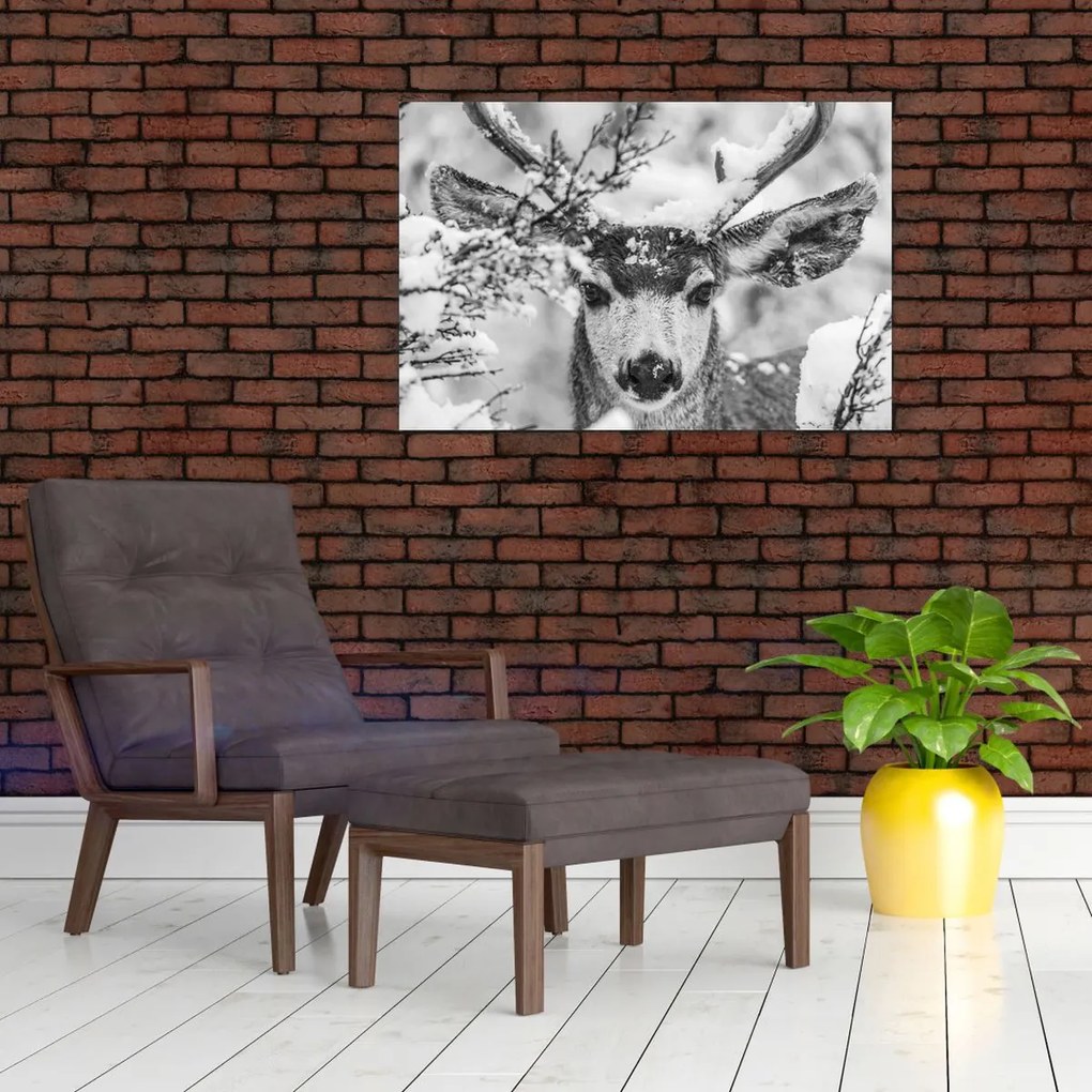 Tablou - Cerb în timpul iernii (90x60 cm)