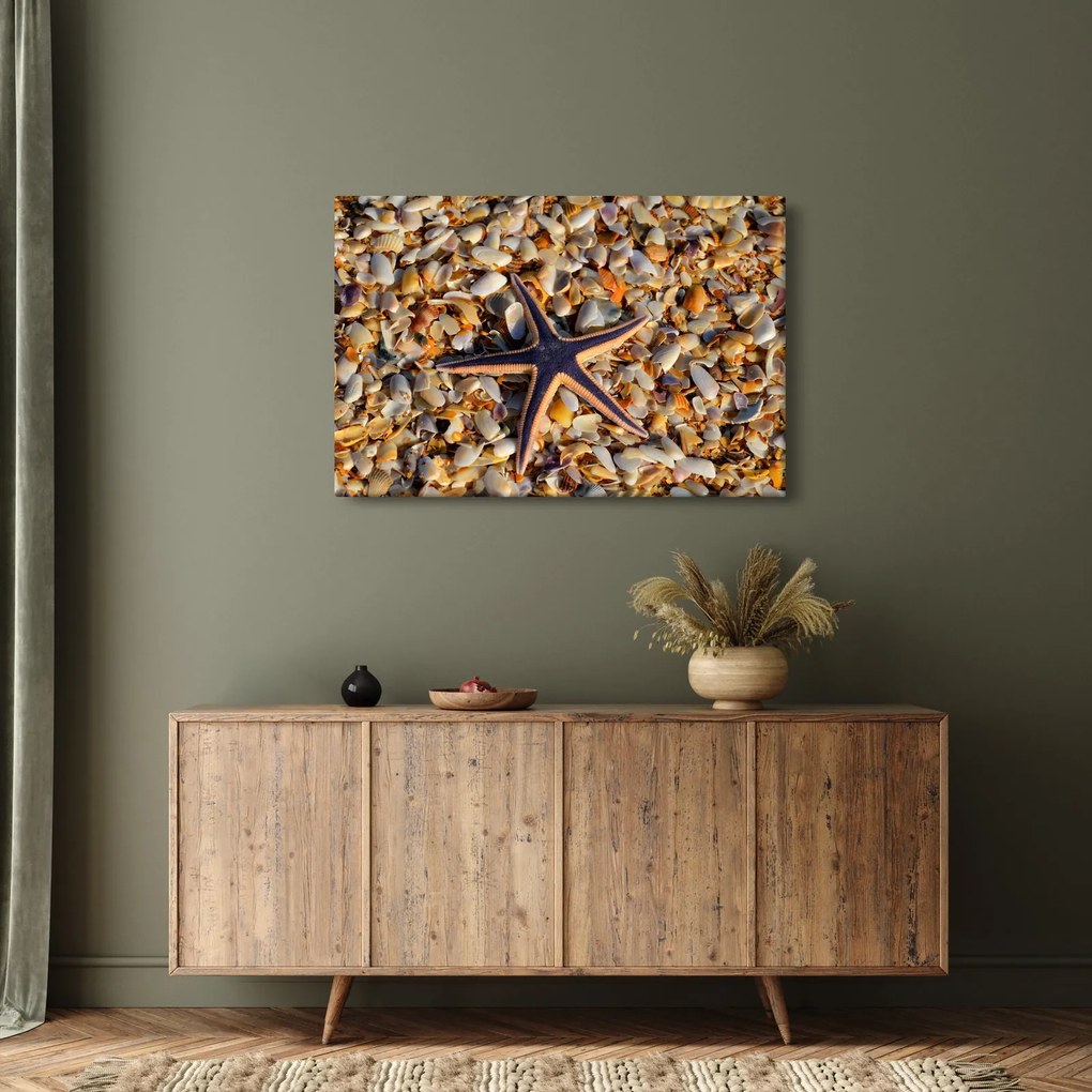 Tablou cu stea de mare (90x60 cm)