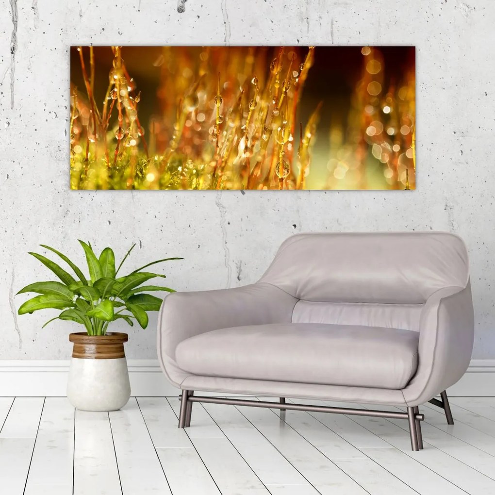 Tablou - Detaliu rouă (120x50 cm)