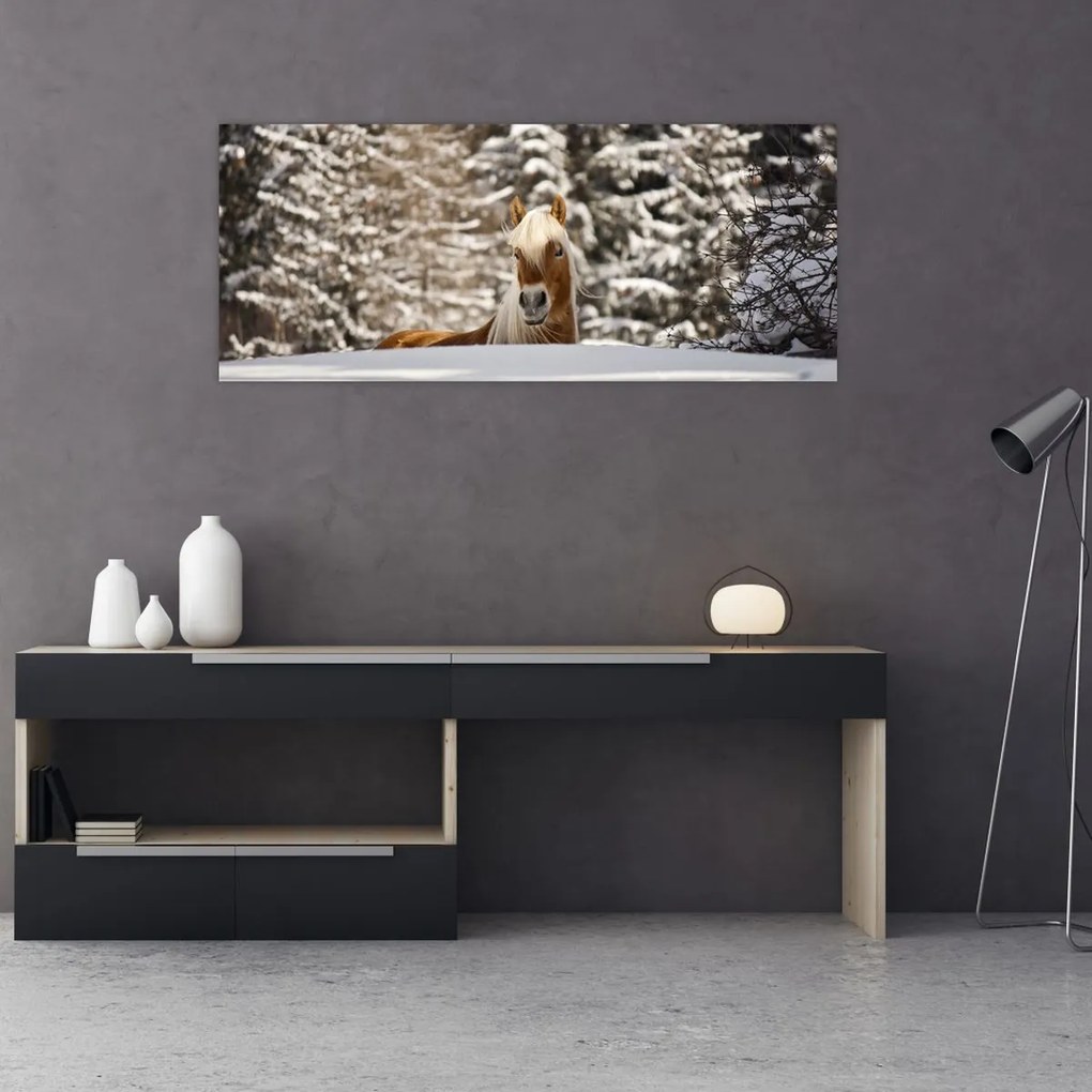 Tablou - Cal în peisaj de iarnă (120x50 cm)