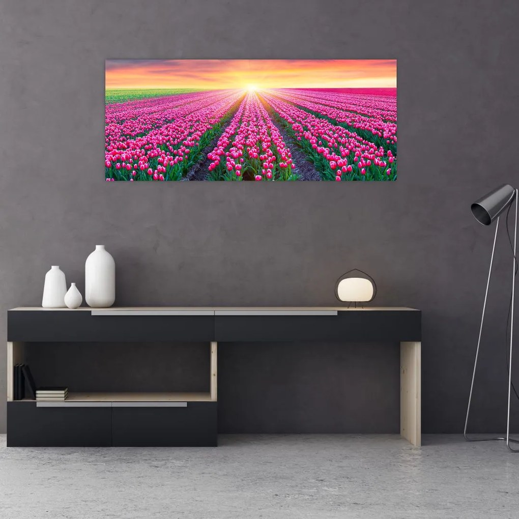Tablou cu câmp de lalele cu soare (120x50 cm)