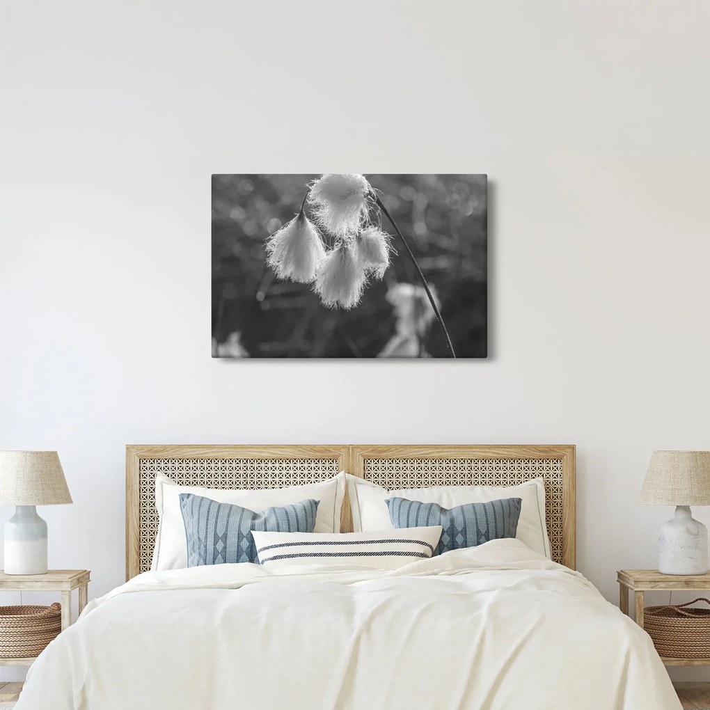 Tablou - Iarba de bumbac (90x60 cm)
