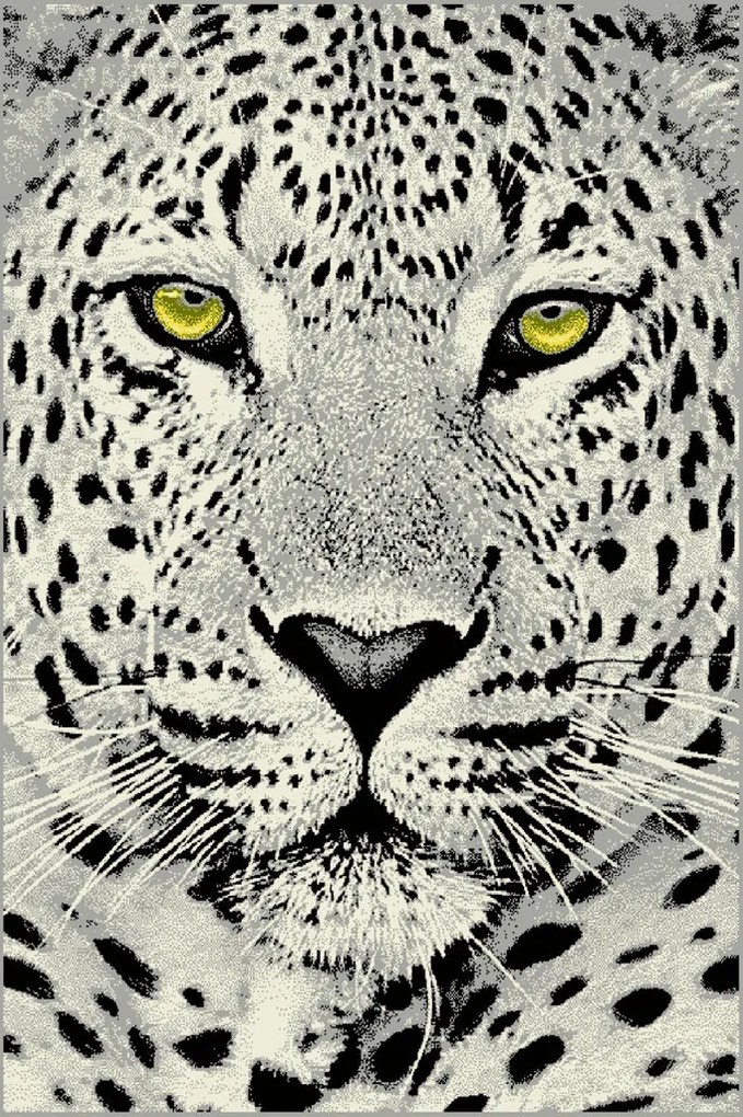 Covor Modern Kolibri Leopard 11368