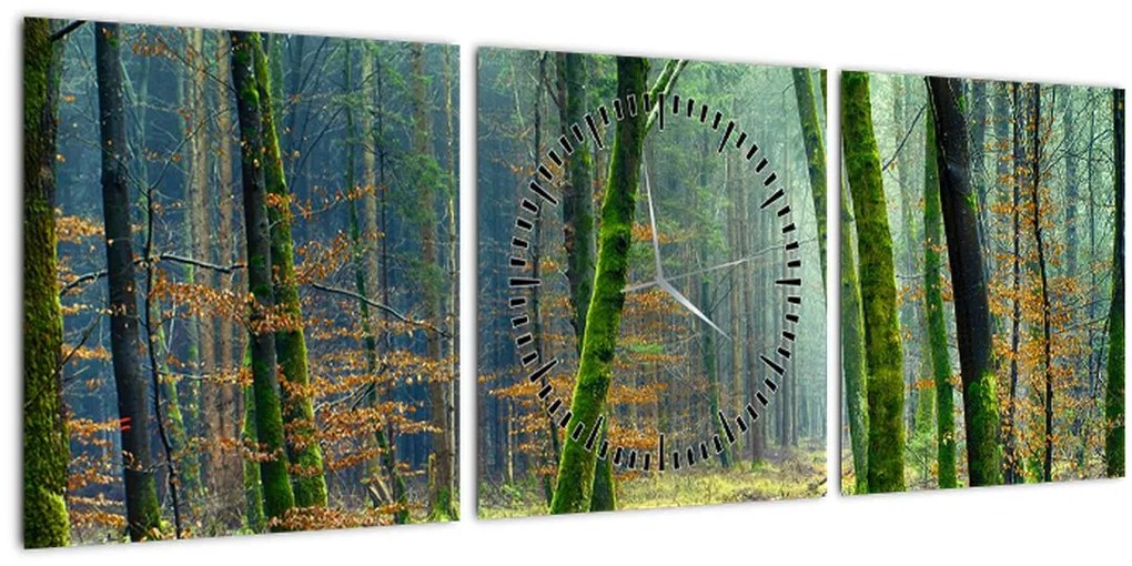 Tablou cu pădure (cu ceas) (90x30 cm)