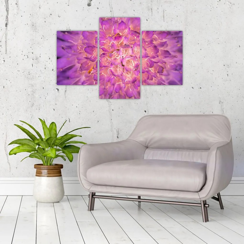 Tablou detailat cu floare (90x60 cm)
