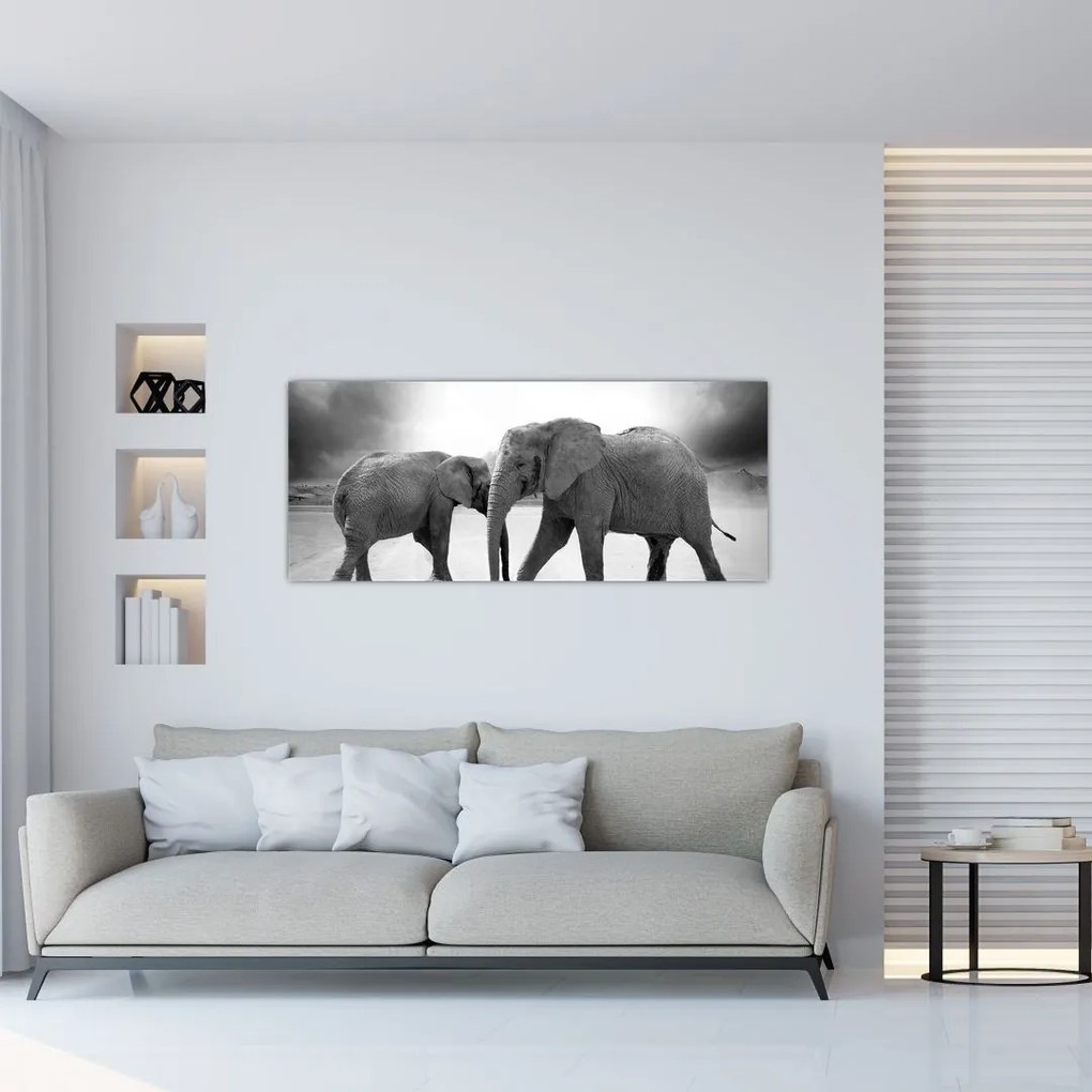 Tablou cu elefanți (120x50 cm)