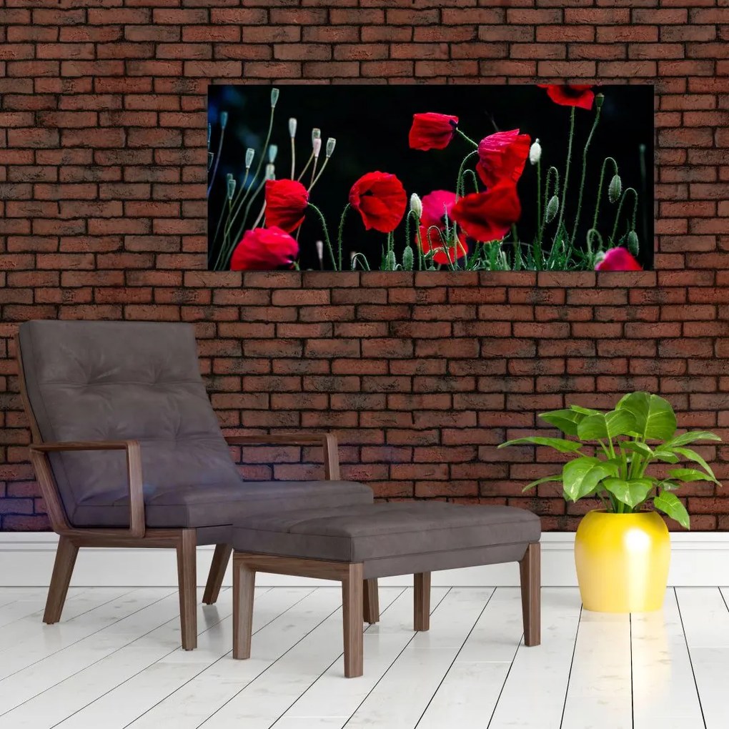 Tablou - Dansul macilor (120x50 cm)