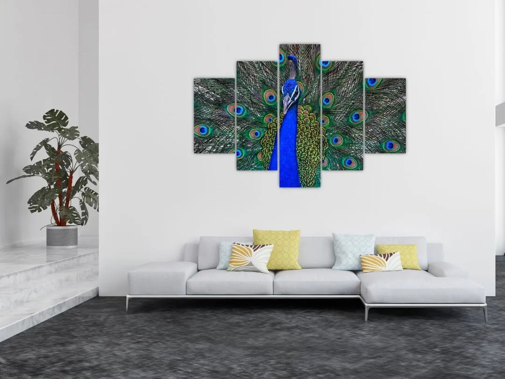 Tablou - Păun (150x105 cm)