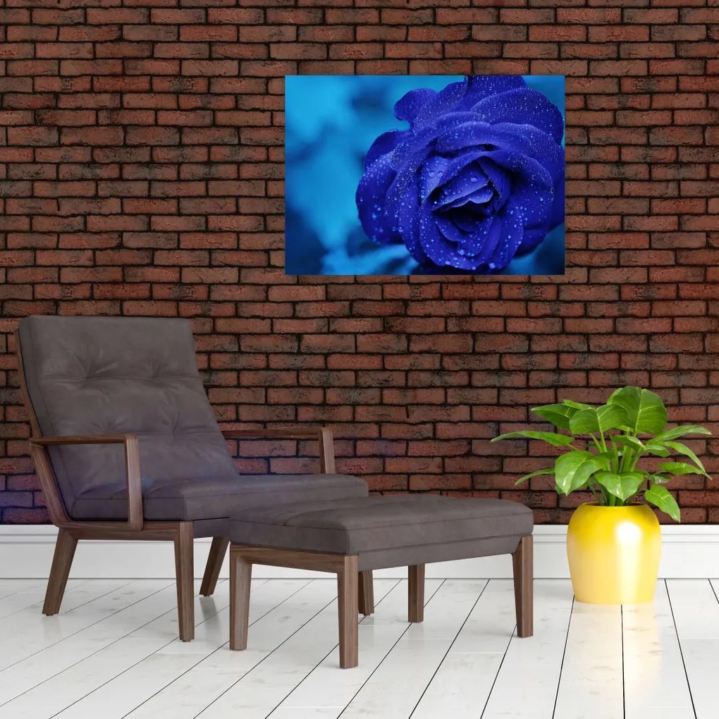 Tablou cu trandafir albastru (70x50 cm)