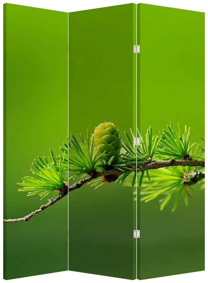 Paravan Con verde (126x170 cm)