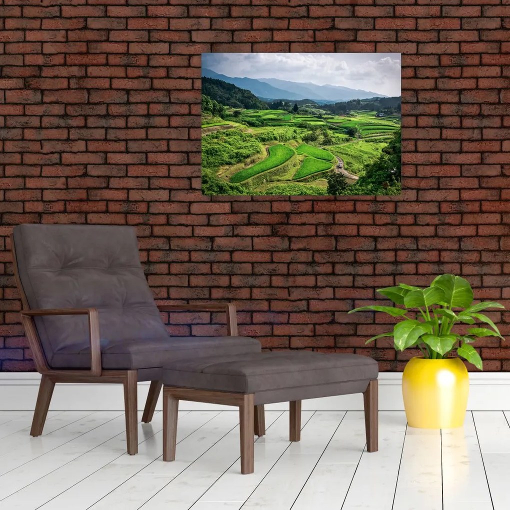 Tablou cu câmp de orez (70x50 cm)