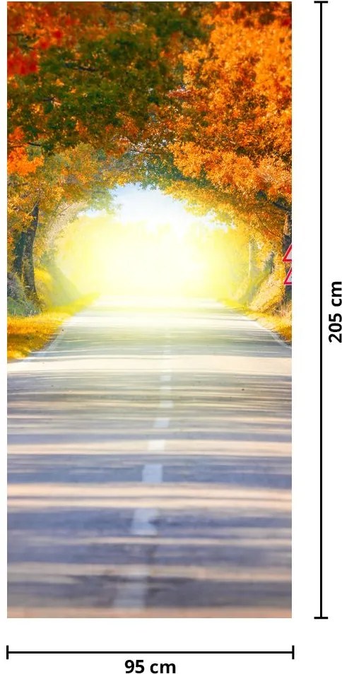 Fototapet pentru ușă - Bolta din coroana cpacilor (95x205cm)