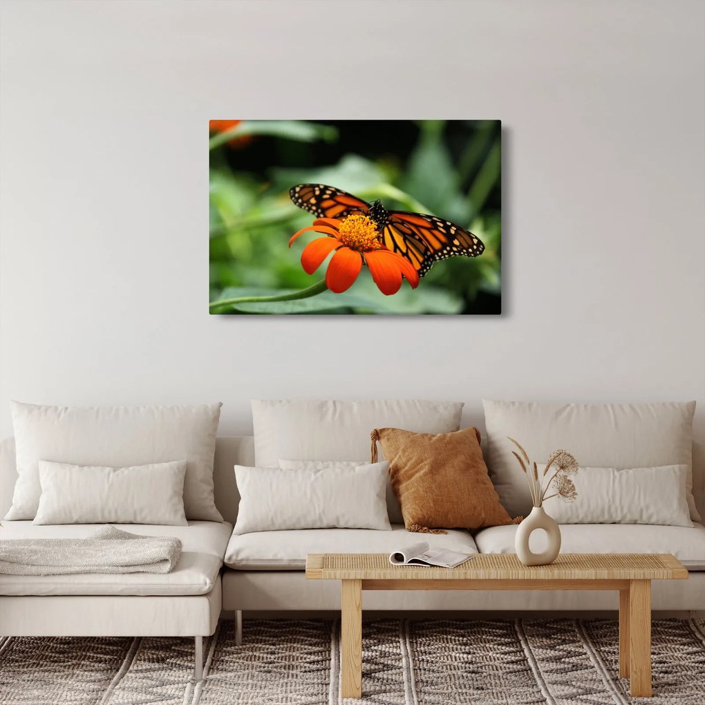 Tablou cu fluture pe floare (90x60 cm)
