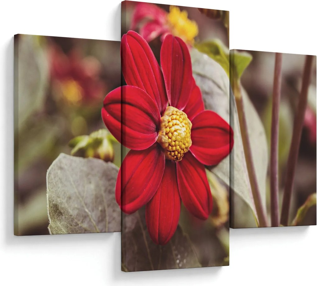Tablou cu floare (90x60 cm)