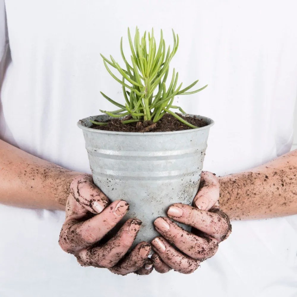 Ghiveci din metal ø 14 cm – Esschert Design