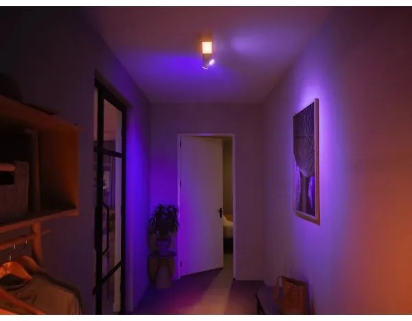 Spot LED RGBW dimabil Philips Hue CENTRIS 2xGU10/4,2W+ LED/11W