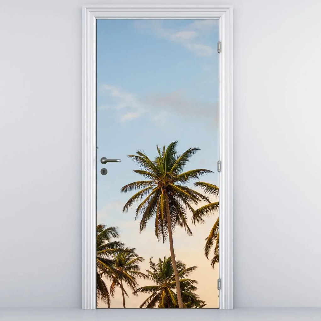 Fototapet pentru ușă - Palmieri (95x205cm)