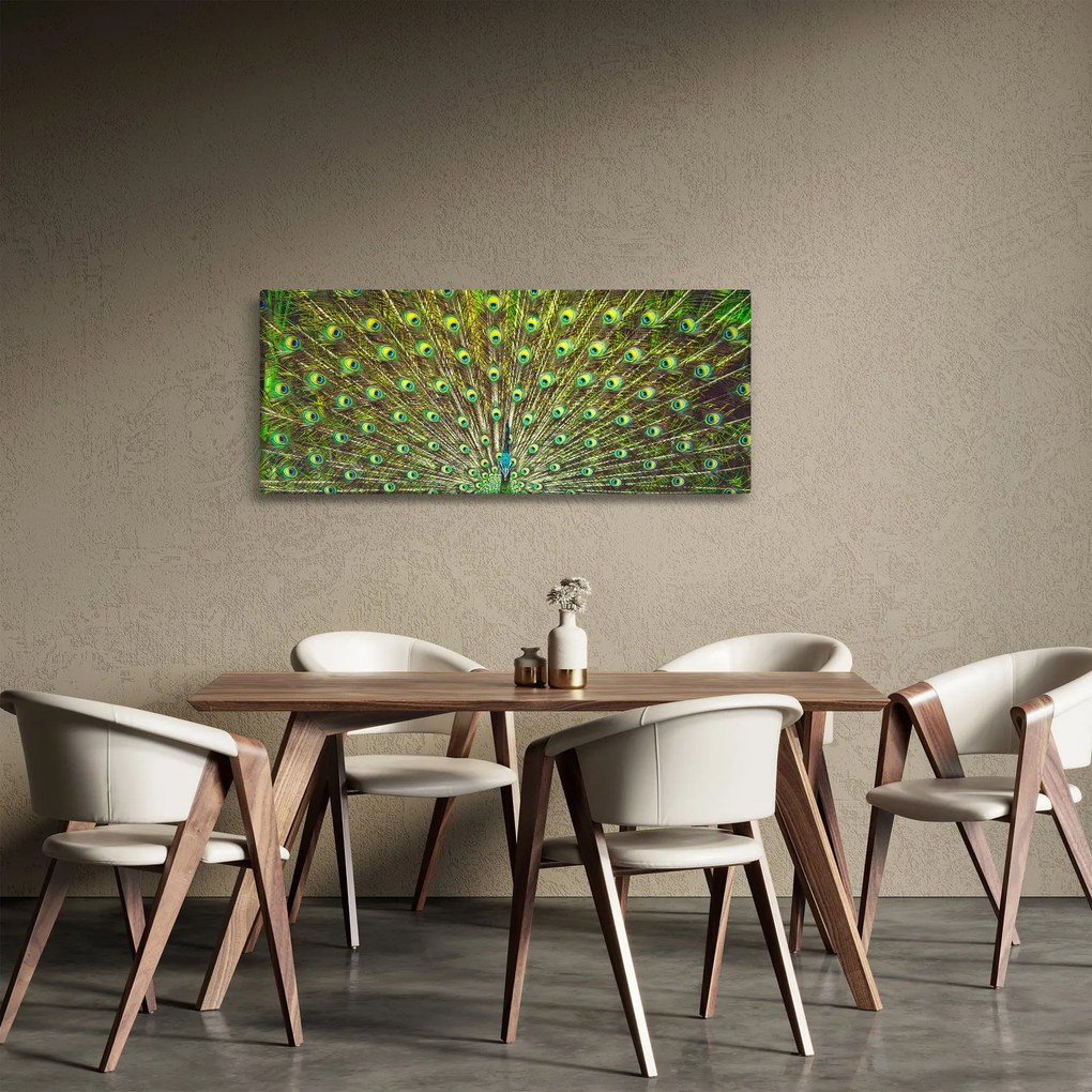 Tablou - Peacock (120x50 cm)