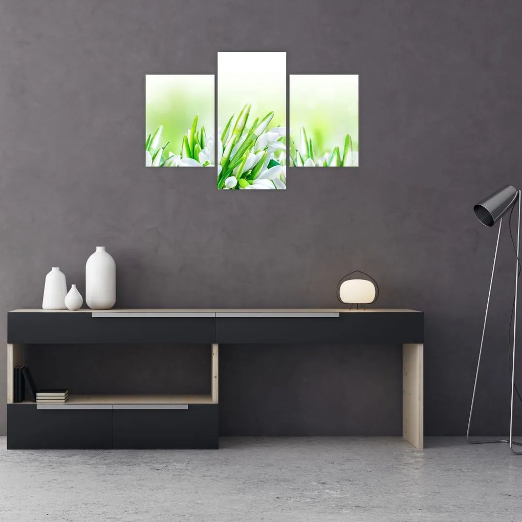 Tablou - Ghiocei (90x60 cm)