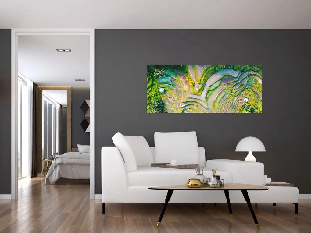 Tablou cu lanuri de orez din privire de sus (120x50 cm)