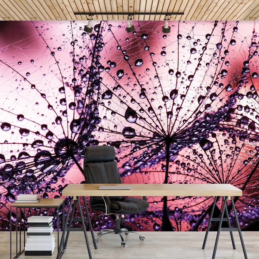 Fototapet - Păpădii - abstracte - violete (152,5x104 cm)