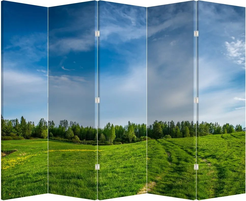 Paravan - Luncă (210x170 cm)