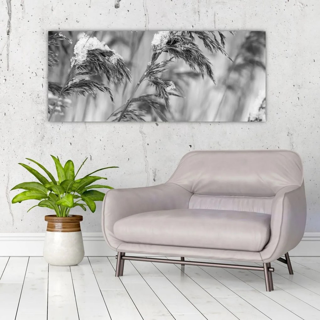 Tablou - Tei,alb-negru (120x50 cm)