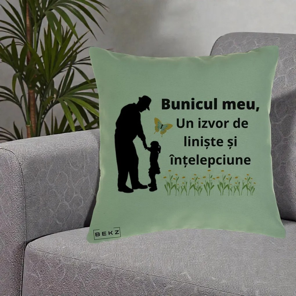 Cadou pentru Bunic - Perna Personalizata Bunicul Meu Izvor de Liniste cu Fluture si Fetita, 40x40 cm, Verde, Husa Detasabila, Perna Inclusa, BEKZ®