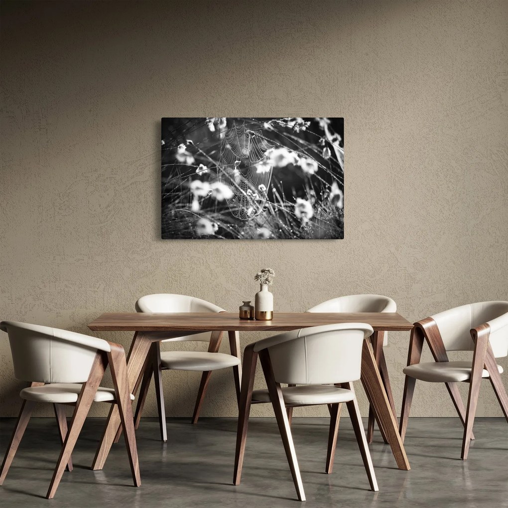 Tablou - Pânza de păianjen în pajiște (90x60 cm)