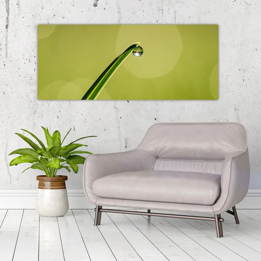 Tablou cu picătură de apă pe iarbă (120x50 cm)