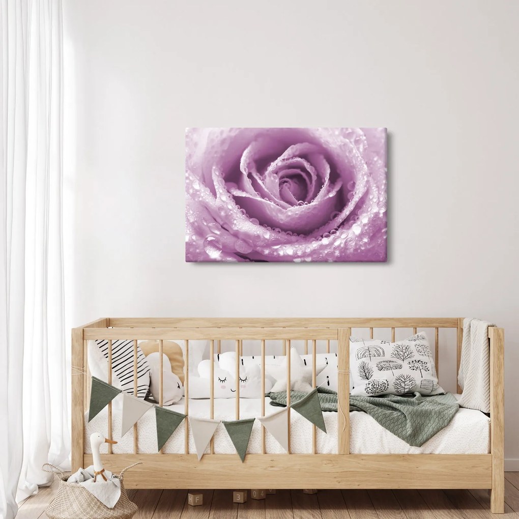 Tablou detaliu de floare de trandafir (90x60 cm)