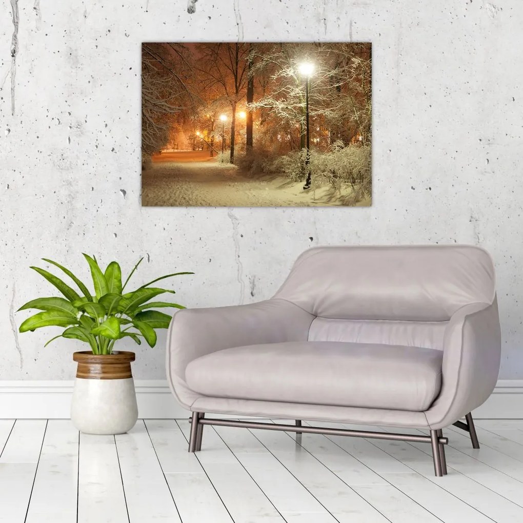 Tablou pe sticlă - Parcul înzăpezit (70x50 cm)