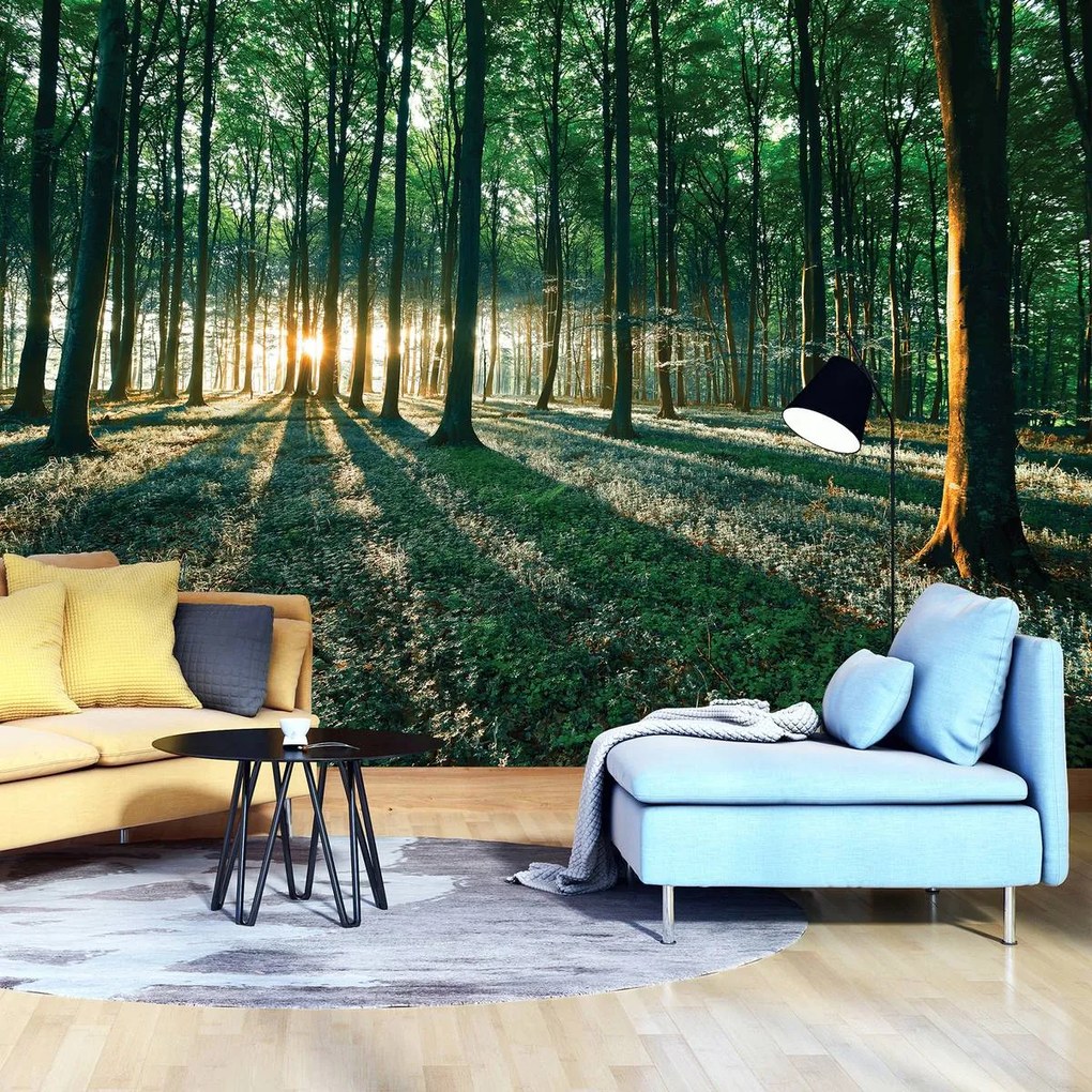 Fototapet - Pădure (152,5x104 cm)