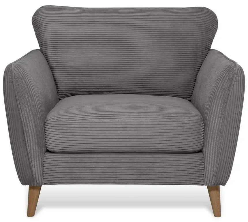 Fotoliu gri închis cu tapițerie din catifea reiată Paris – Scandic