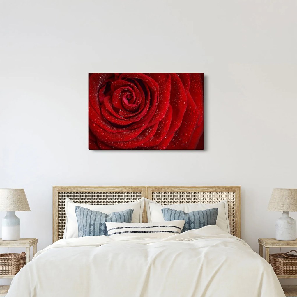 Tablou - detaliu de trandafir (90x60 cm)