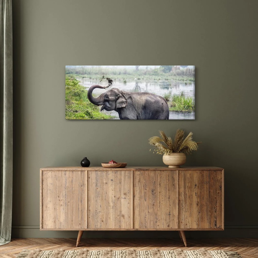 Tablou - Elefant de scăldat (120x50 cm)