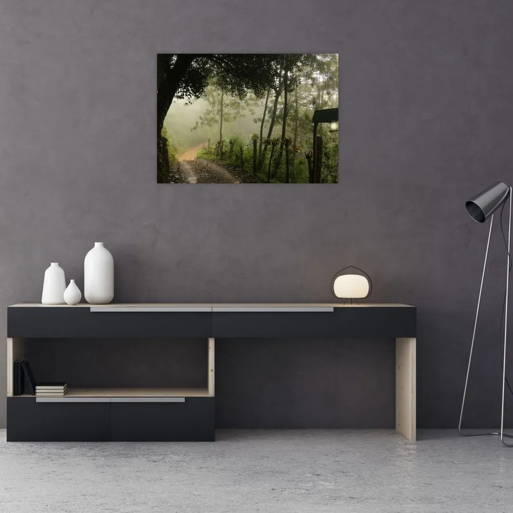 Tablou cu ceața de dimineața (70x50 cm)