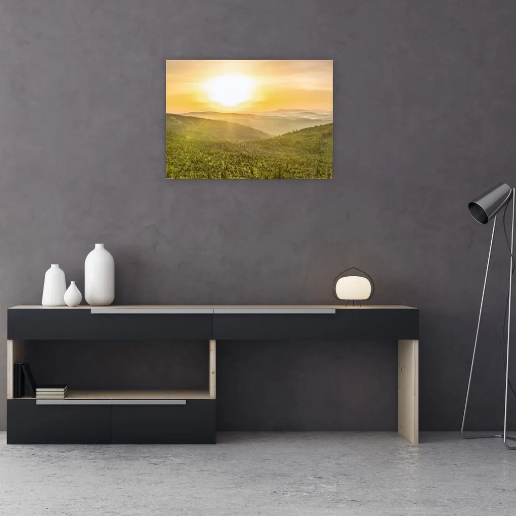 Tablou panoramatic (70x50 cm), în 40 de alte dimensiuni noi