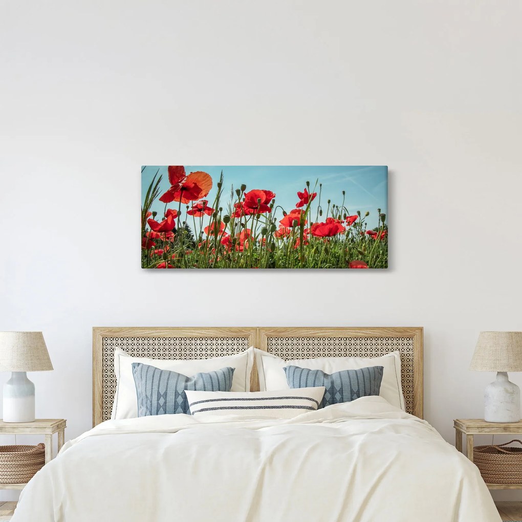 Tablou - Pe câmpul cu maci (120x50 cm)