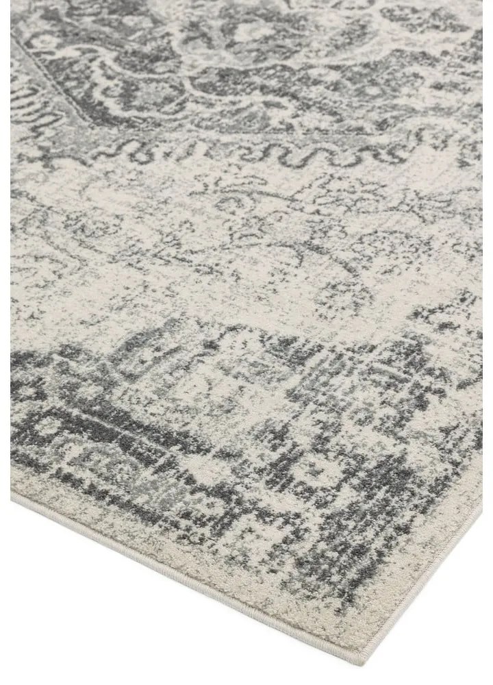 Covor gri/crem 160x230 cm Nova – Asiatic Carpets